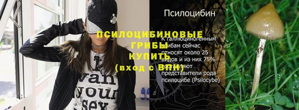 MESCALINE Богородицк