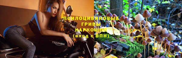 соль ск Богданович